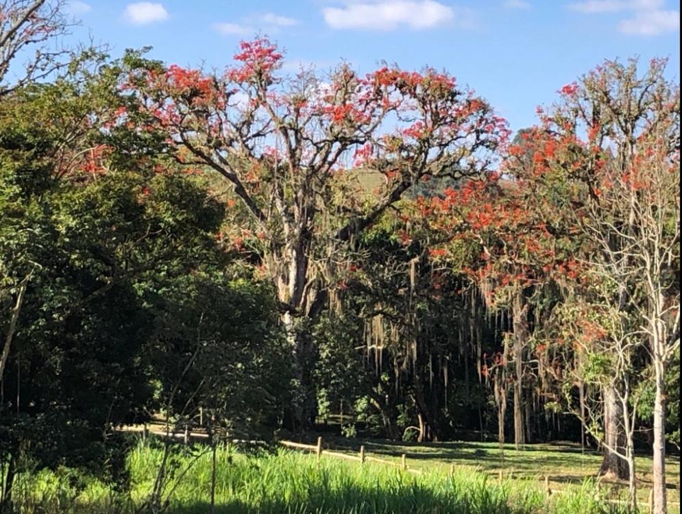 Vivenda dos Guaranys -Uma imersão na natureza - Casa Conservatória Exterior foto