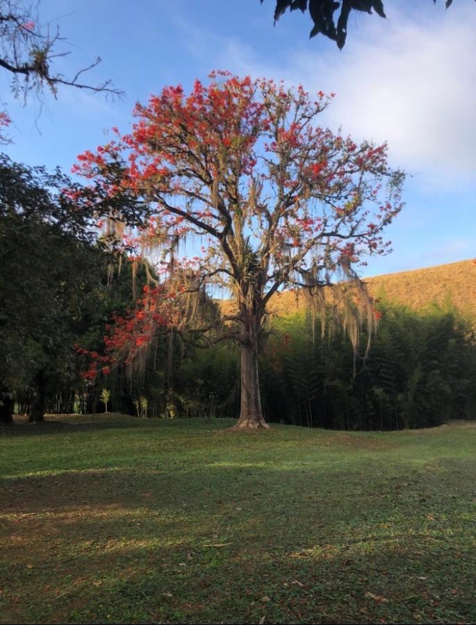 Vivenda dos Guaranys -Uma imersão na natureza - Casa Conservatória Exterior foto