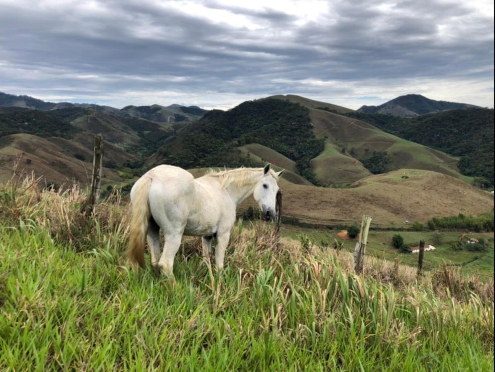 Vivenda dos Guaranys -Uma imersão na natureza - Casa Conservatória Exterior foto