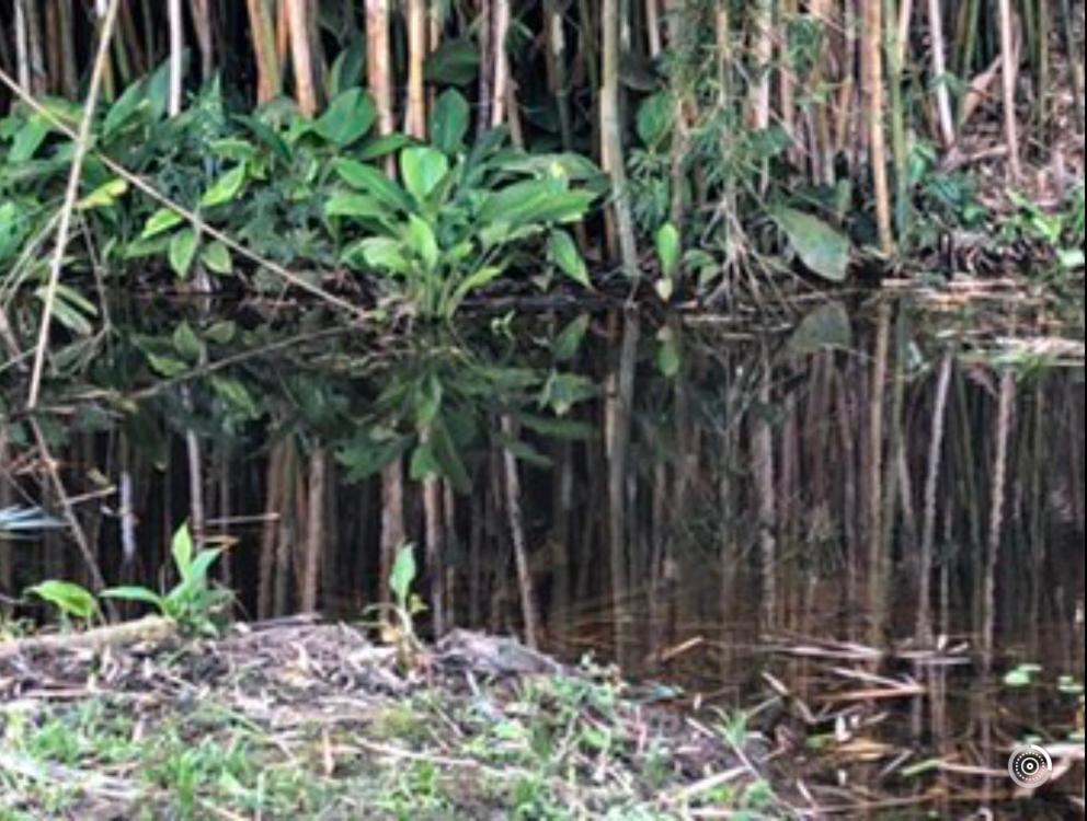 Vivenda dos Guaranys -Uma imersão na natureza - Casa Conservatória Exterior foto