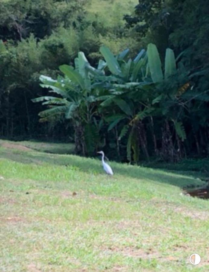 Vivenda dos Guaranys -Uma imersão na natureza - Casa Conservatória Exterior foto