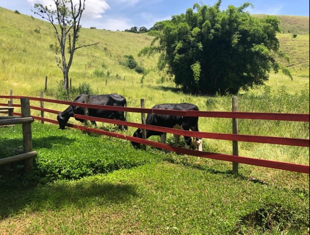 Vivenda dos Guaranys -Uma imersão na natureza - Casa Conservatória Exterior foto