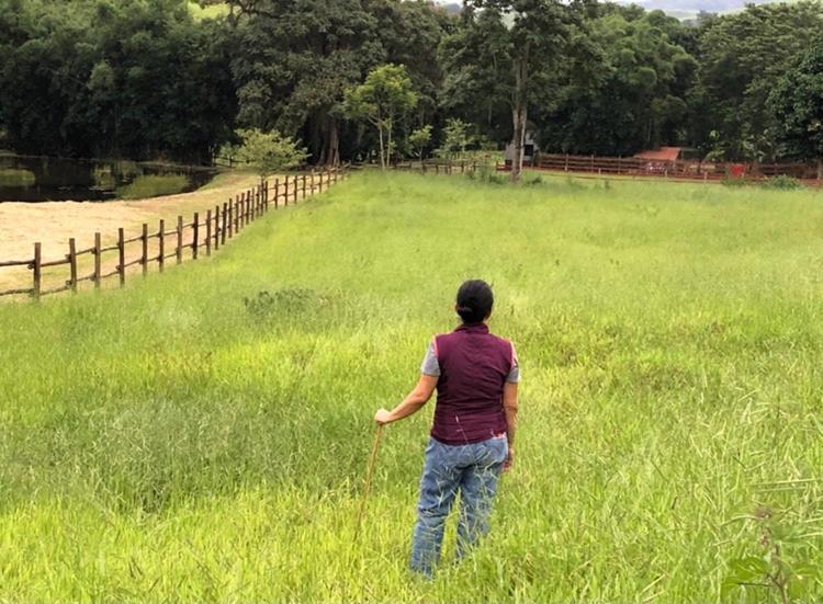 Vivenda dos Guaranys -Uma imersão na natureza - Casa Conservatória Exterior foto