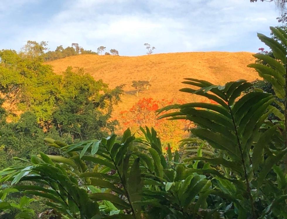 Vivenda dos Guaranys -Uma imersão na natureza - Casa Conservatória Exterior foto